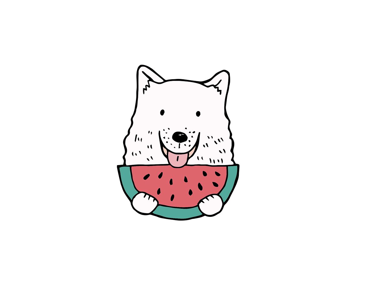 Pin artwork: a white samoyed grinning behind a slice of watermelon held in both paws